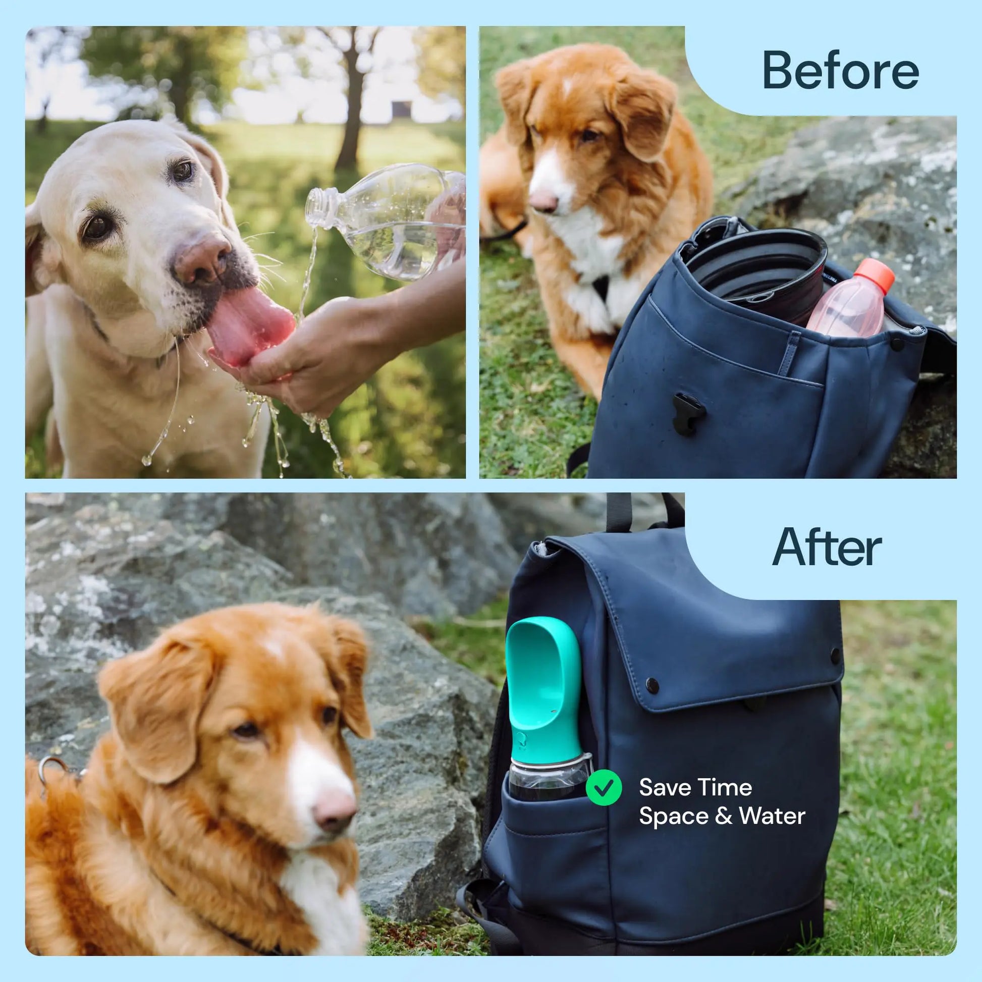 19oz Portable Pet Water Bottle with Food Container - 2-in-1 Dispenser for Dogs, Cats, Rabbits, and Other Pets - Ideal for Walking, Hiking, Camping, and Travel (Blue, 550ml)